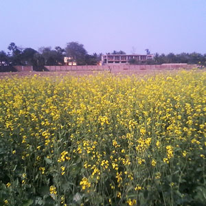 farming