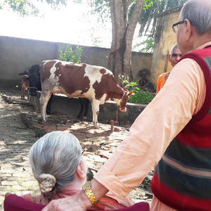 sree archana maa at the goshala